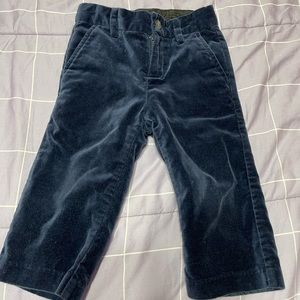 Janie & Jack velvet blue pants- size 12-18 months